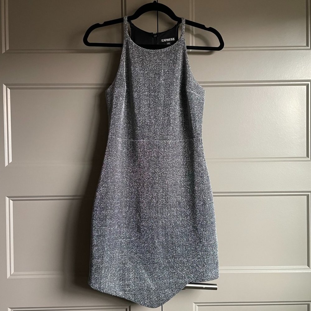 Express Sparkly Party Dress